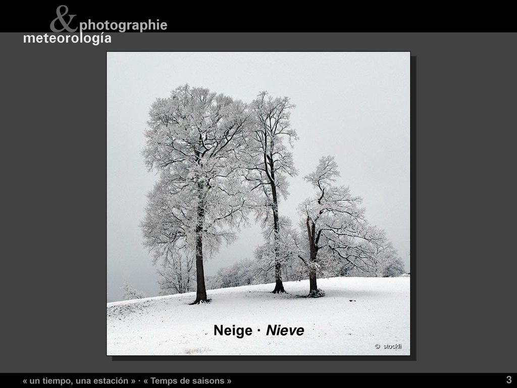 Neige · Nieve « un tiempo, una estación » · « Temps de saisons »
