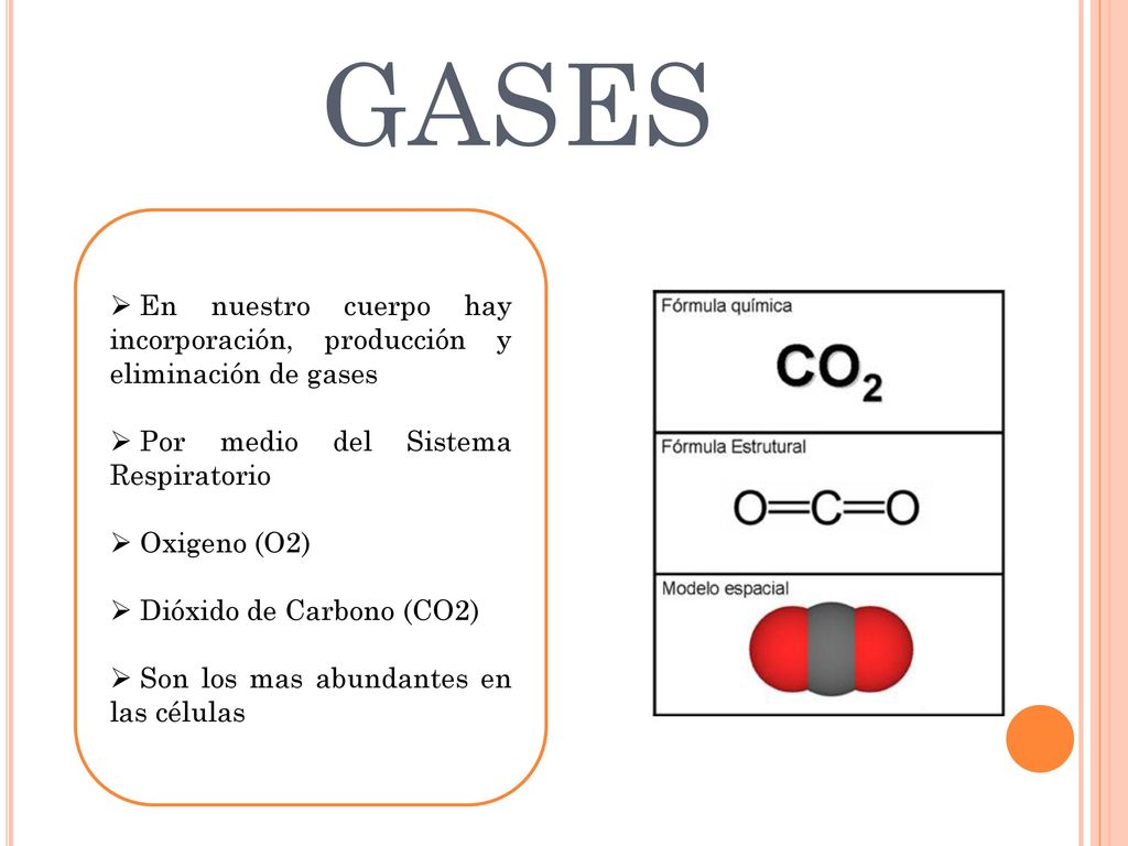 GASES En nuestro cuerpo hay incorporación, producción y eliminación de gases. Por medio del Sistema Respiratorio.