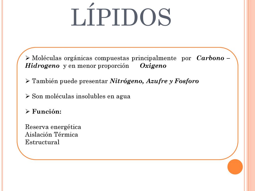 LÍPIDOS Moléculas orgánicas compuestas principalmente por Carbono – Hidrogeno y en menor proporción Oxigeno.