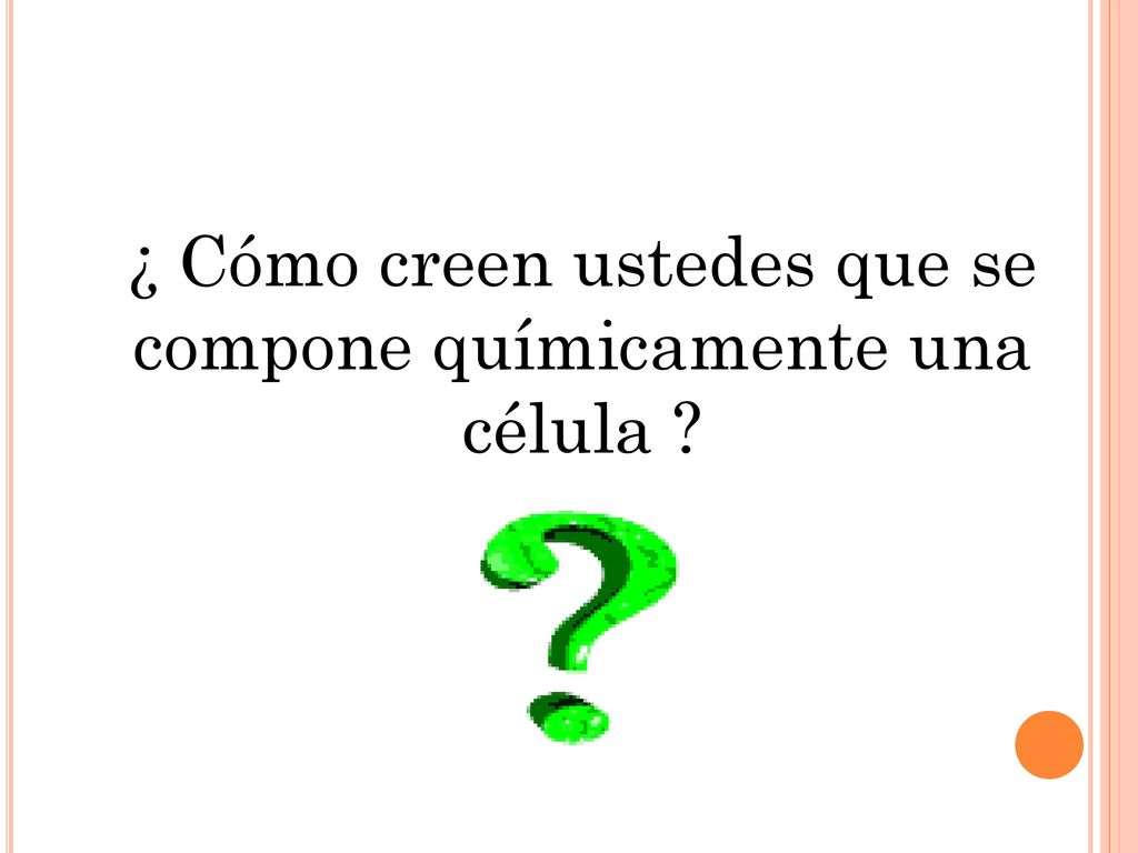 ¿ Cómo creen ustedes que se compone químicamente una célula