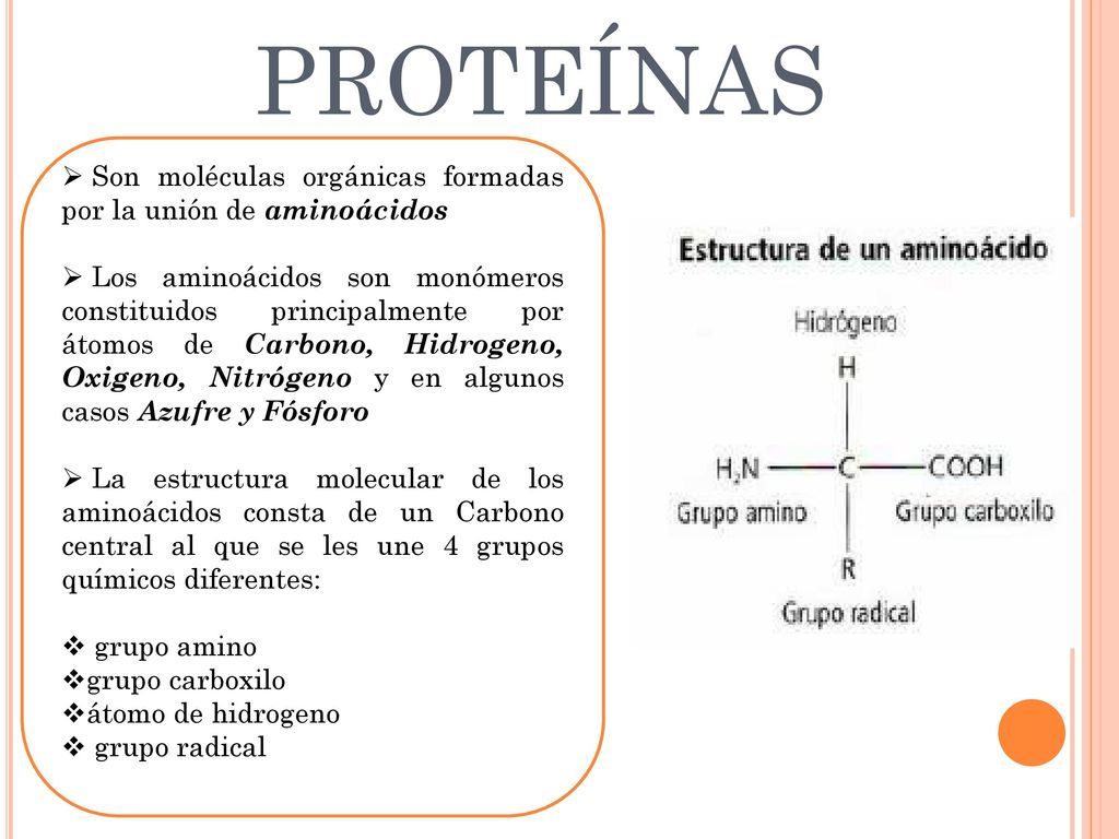 PROTEÍNAS Son moléculas orgánicas formadas por la unión de aminoácidos