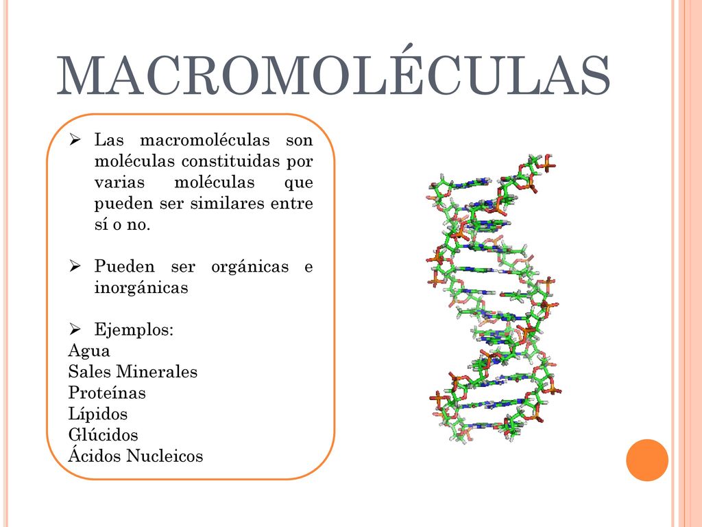 MACROMOLÉCULAS Las macromoléculas son moléculas constituidas por varias moléculas que pueden ser similares entre sí o no.