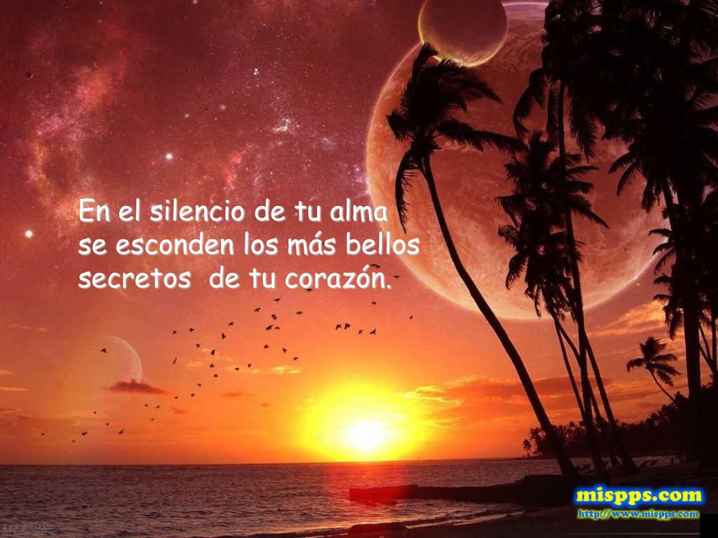 En el silencio de tu alma se esconden los más bellos secretos de tu corazón.