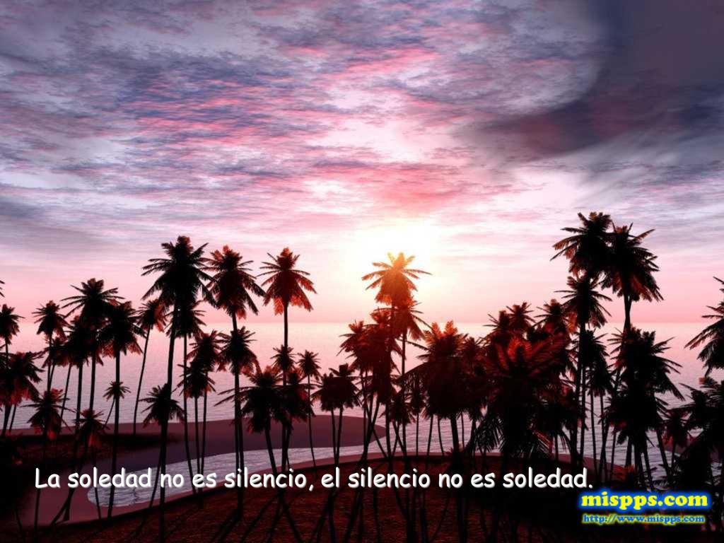 La soledad no es silencio, el silencio no es soledad.