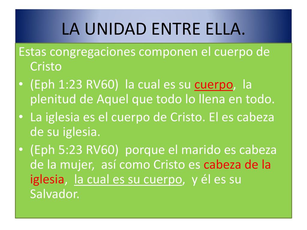 LA UNIDAD ENTRE ELLA. Estas congregaciones componen el cuerpo de Cristo.