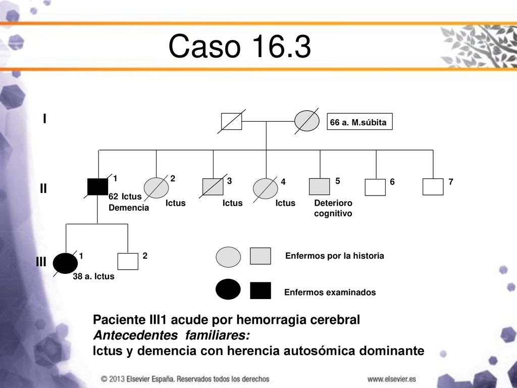Caso 16.3 I II III Paciente III1 acude por hemorragia cerebral