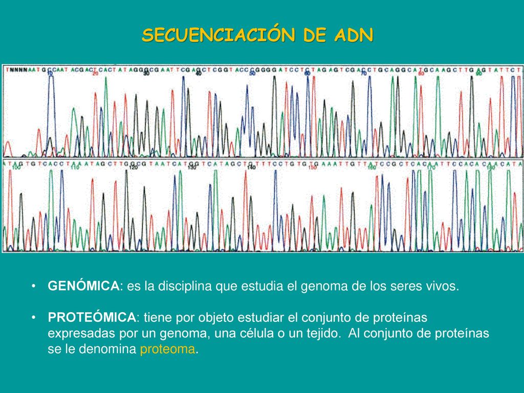 SECUENCIACIÓN DE ADN GENÓMICA: es la disciplina que estudia el genoma de los seres vivos.