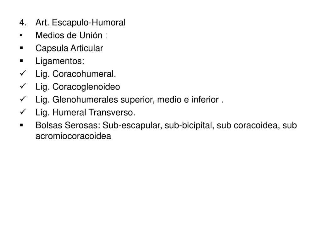 Art. Escapulo-Humoral Medios de Unión : Capsula Articular. Ligamentos: Lig. Coracohumeral. Lig. Coracoglenoideo.