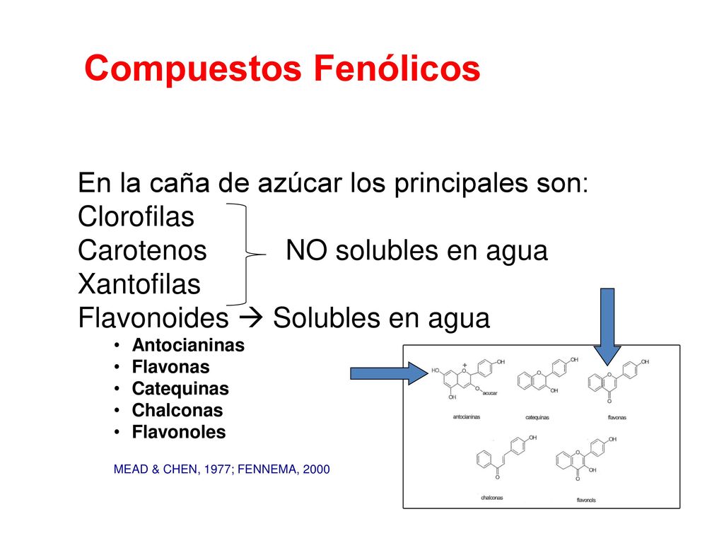 Compuestos Fenólicos En la caña de azúcar los principales son: