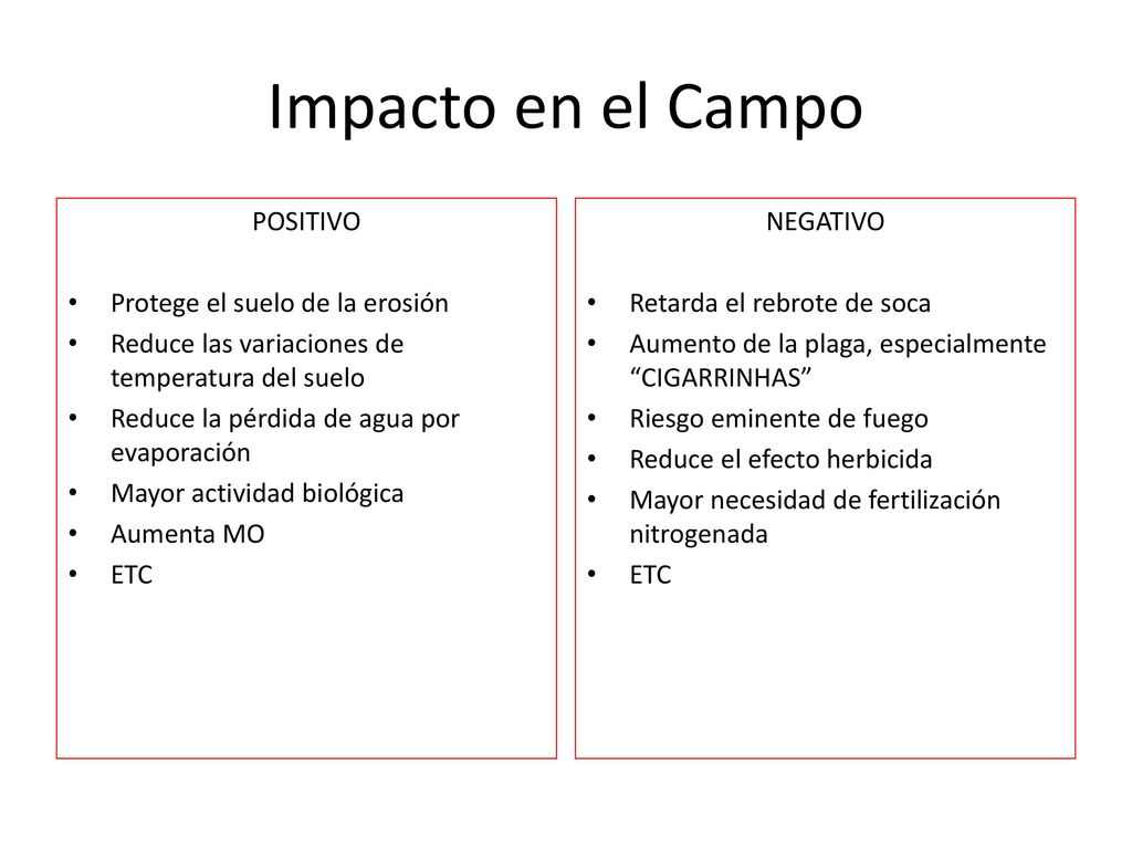 Impacto en el Campo POSITIVO Protege el suelo de la erosión