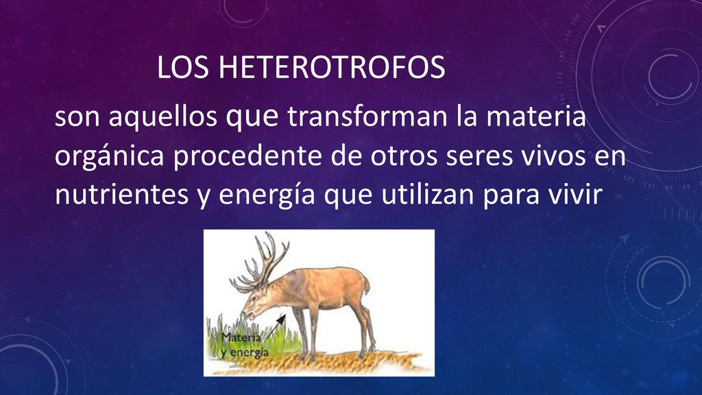 LOS HETEROTROFOS son aquellos que transforman la materia orgánica procedente de otros seres vivos en nutrientes y energía que utilizan para vivir.