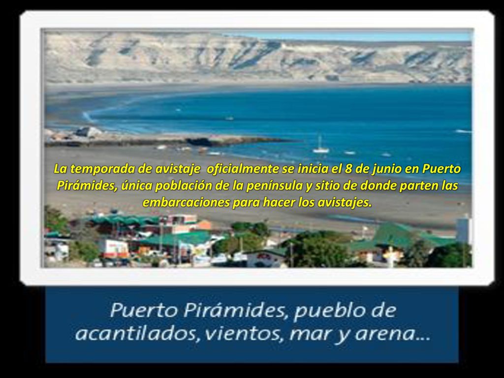 La temporada de avistaje oficialmente se inicia el 8 de junio en Puerto Pirámides, única población de la península y sitio de donde parten las embarcaciones para hacer los avistajes.