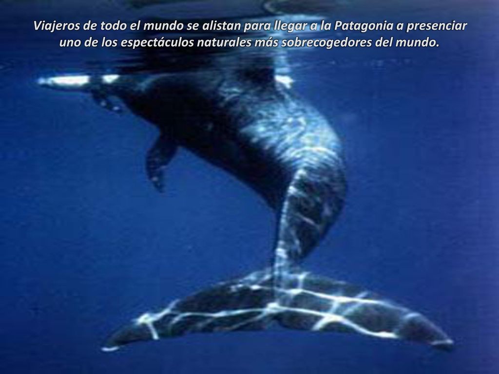 uno de los espectáculos naturales más sobrecogedores del mundo.