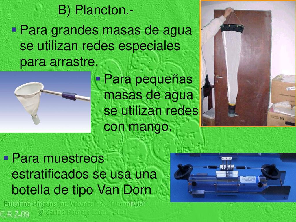 Para grandes masas de agua se utilizan redes especiales para arrastre.