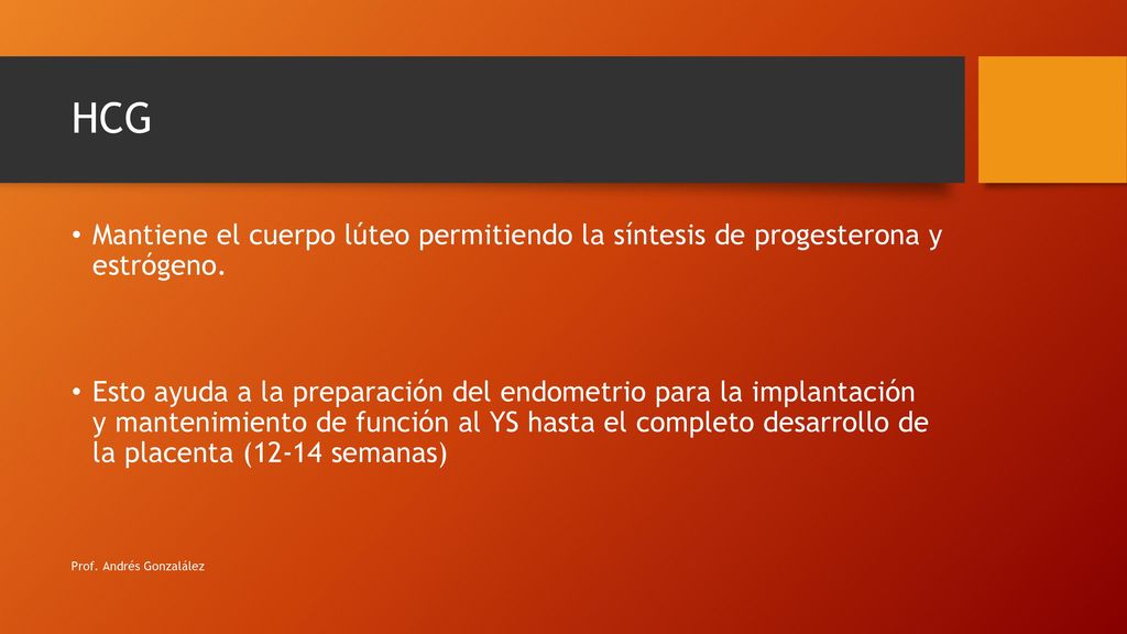 HCG Mantiene el cuerpo lúteo permitiendo la síntesis de progesterona y estrógeno.