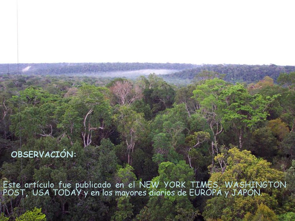 OBSERVACIÓN: Este artículo fue publicado en el NEW YORK TIMES, WASHINGTON POST, USA TODAY y en los mayores diarios de EUROPA y JAPÓN.