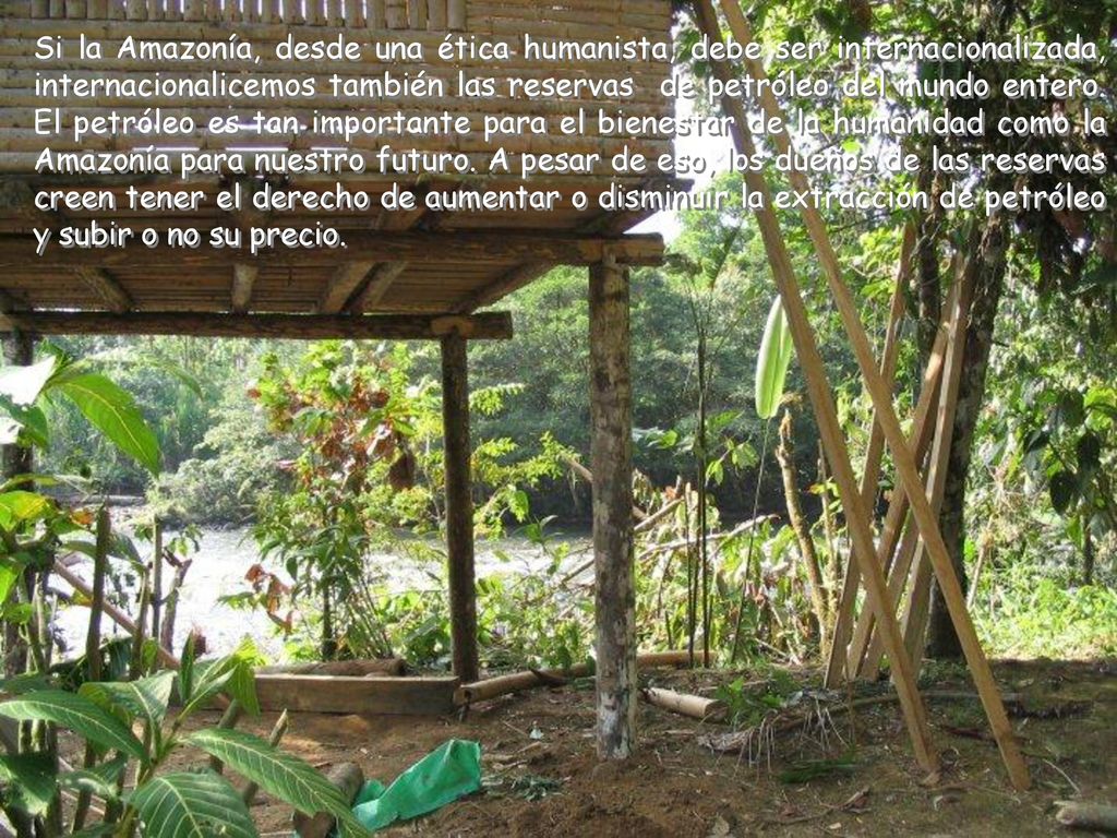 Si la Amazonía, desde una ética humanista, debe ser internacionalizada, internacionalicemos también las reservas de petróleo del mundo entero.