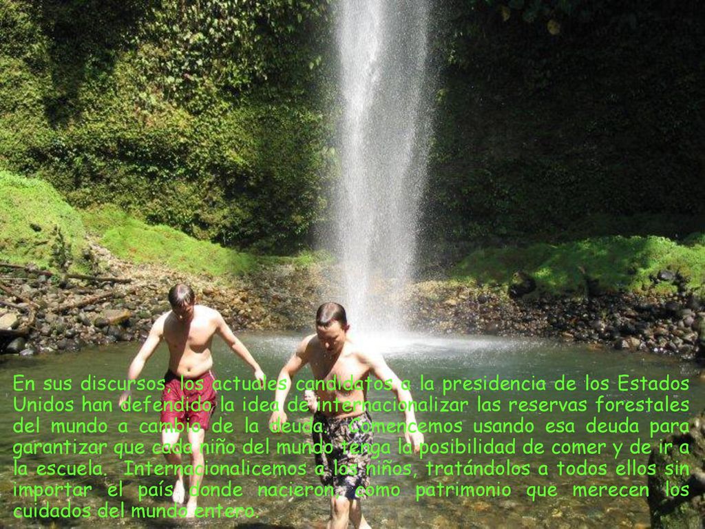 En sus discursos, los actuales candidatos a la presidencia de los Estados Unidos han defendido la idea de internacionalizar las reservas forestales del mundo a cambio de la deuda.