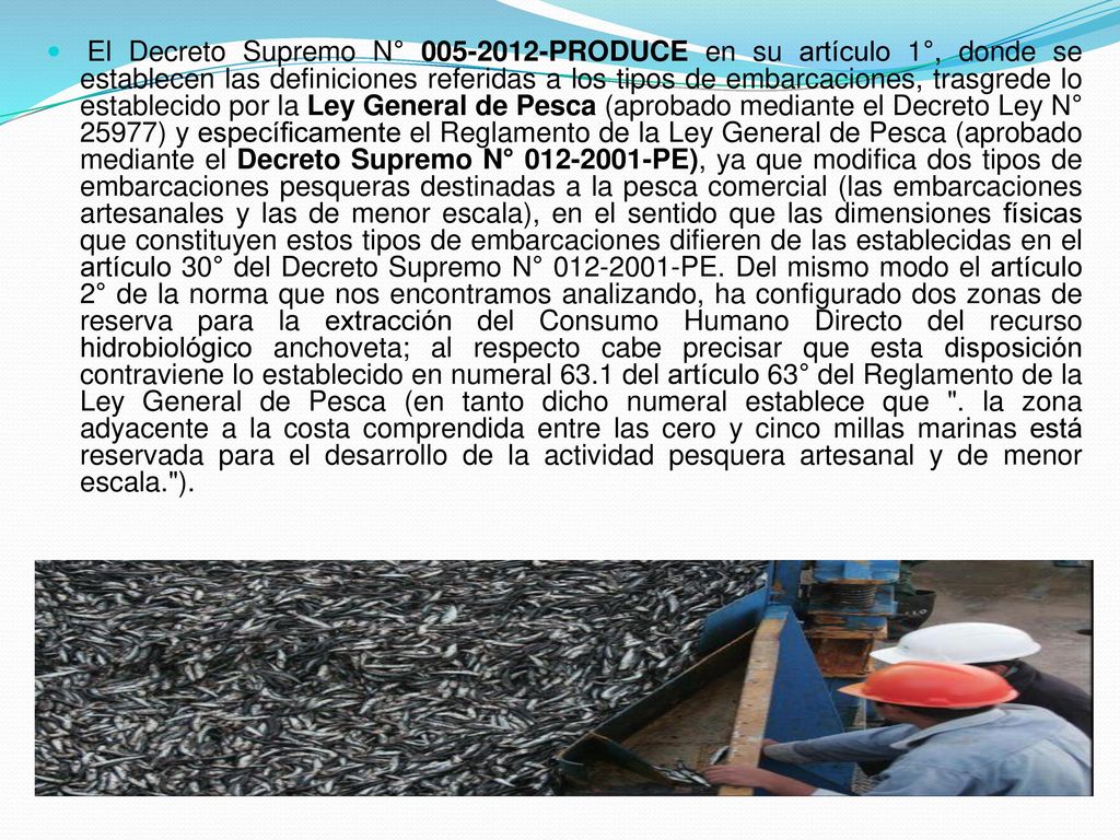 El Decreto Supremo N° PRODUCE en su artículo 1°, donde se establecen las definiciones referidas a los tipos de embarcaciones, trasgrede lo establecido por la Ley General de Pesca (aprobado mediante el Decreto Ley N° 25977) y específicamente el Reglamento de la Ley General de Pesca (aprobado mediante el Decreto Supremo N° PE), ya que modifica dos tipos de embarcaciones pesqueras destinadas a la pesca comercial (las embarcaciones artesanales y las de menor escala), en el sentido que las dimensiones físicas que constituyen estos tipos de embarcaciones difieren de las establecidas en el artículo 30° del Decreto Supremo N° PE.