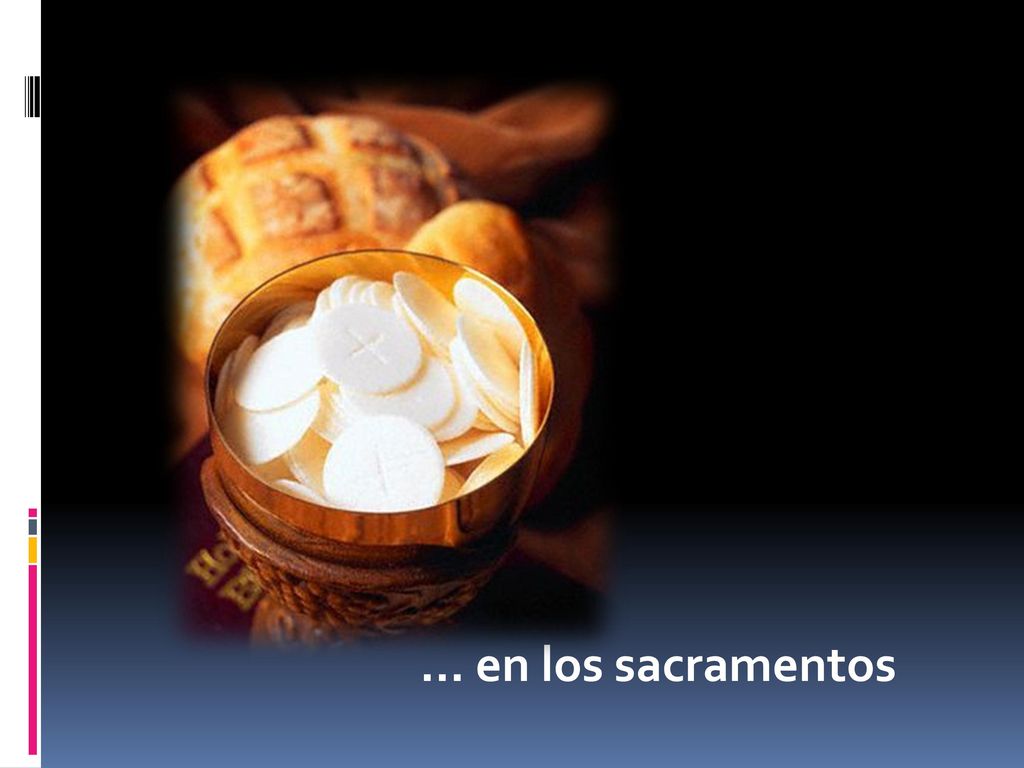 … en los sacramentos Recibiendo su Gracia, para poder realizar su labor en el mundo