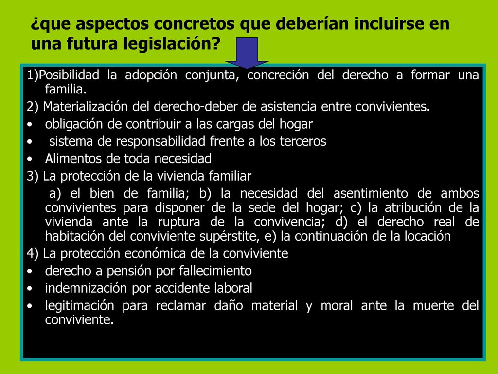 ¿que aspectos concretos que deberían incluirse en una futura legislación