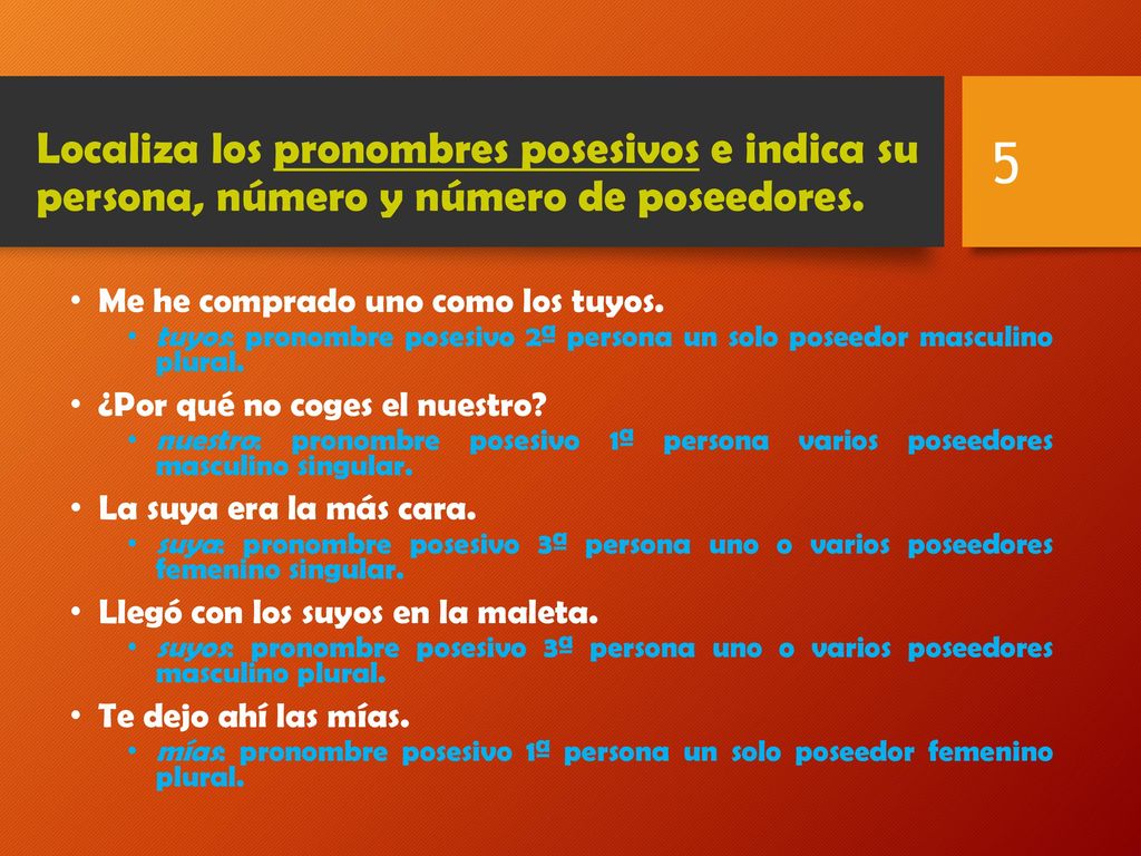 Localiza los pronombres posesivos e indica su persona, número y número de poseedores.