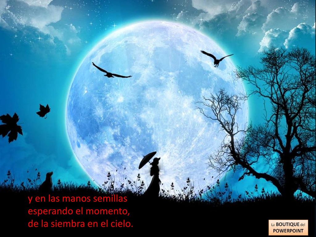 y en las manos semillas esperando el momento, de la siembra en el cielo.