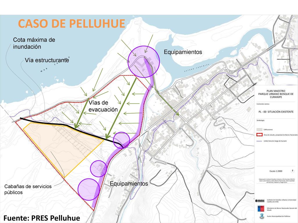 CASO DE PELLUHUE Fuente: PRES Pelluhue Cota máxima de inundación