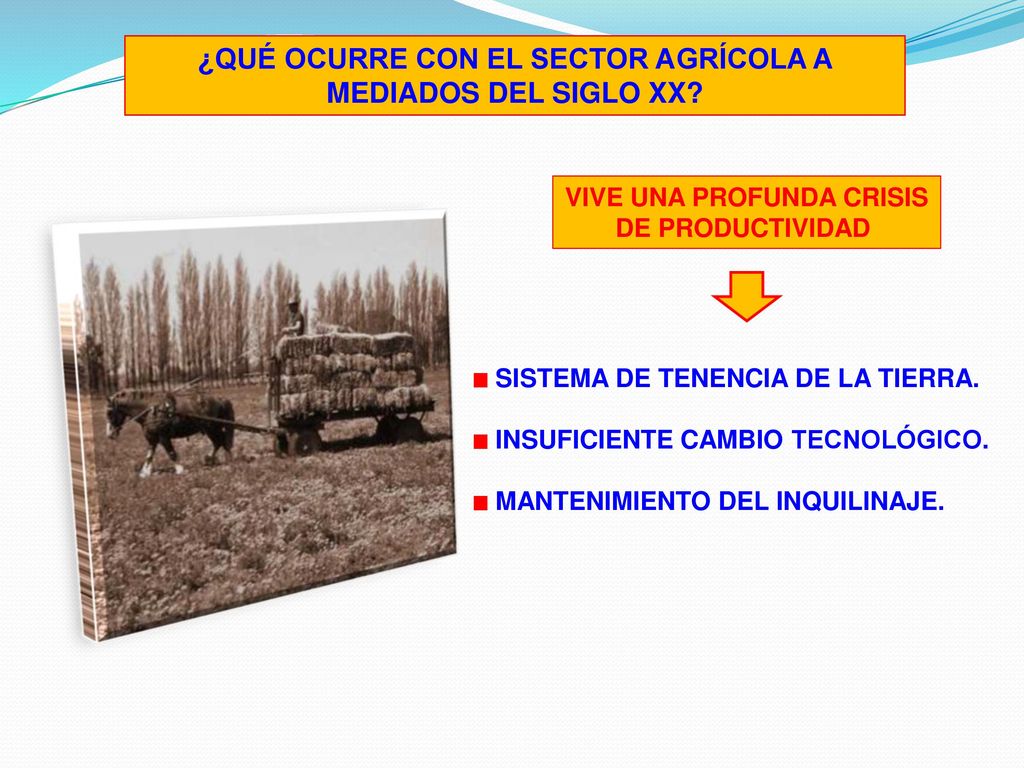 ¿QUÉ OCURRE CON EL SECTOR AGRÍCOLA A MEDIADOS DEL SIGLO XX