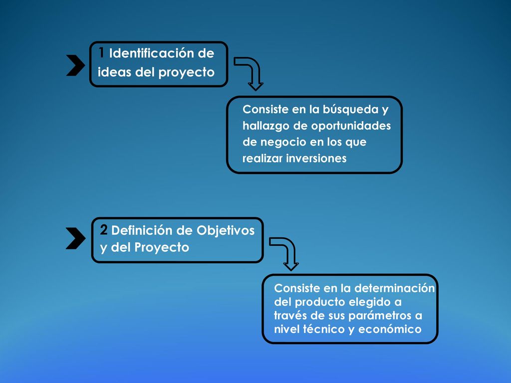 1 2 Definición de Objetivos y del Proyecto Identificación de