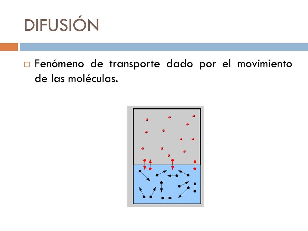 DIFUSIÓN Fenómeno de transporte dado por el movimiento de las moléculas.