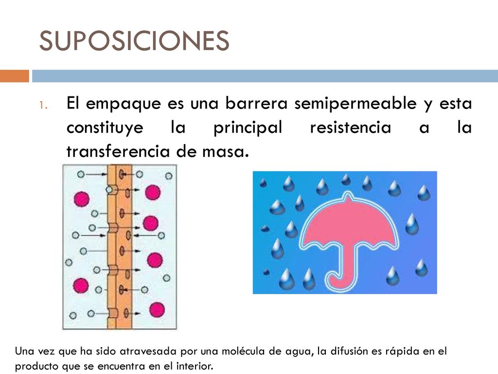 SUPOSICIONES El empaque es una barrera semipermeable y esta constituye la principal resistencia a la transferencia de masa.