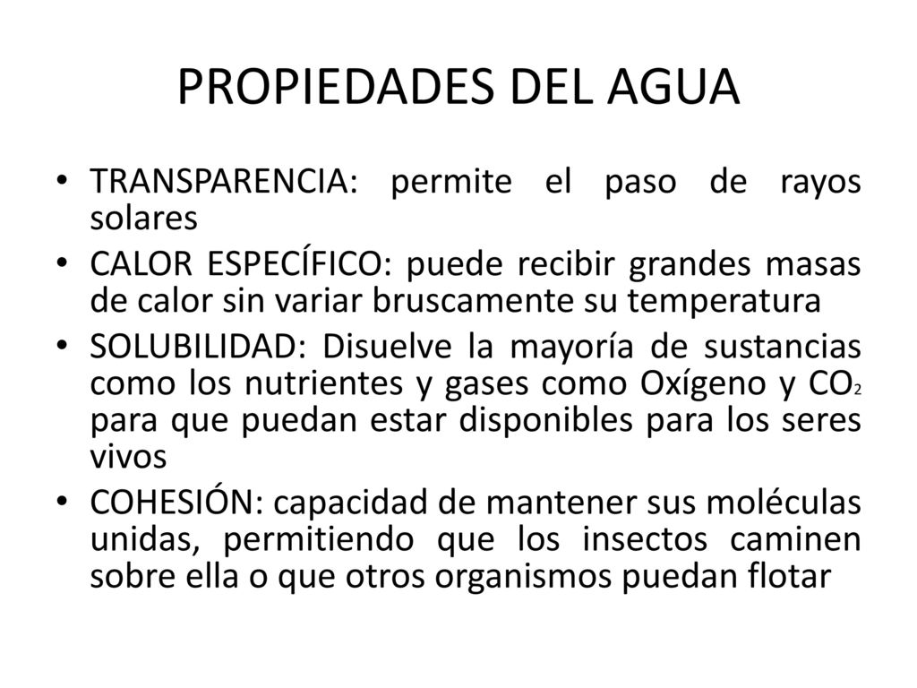 PROPIEDADES DEL AGUA TRANSPARENCIA: permite el paso de rayos solares