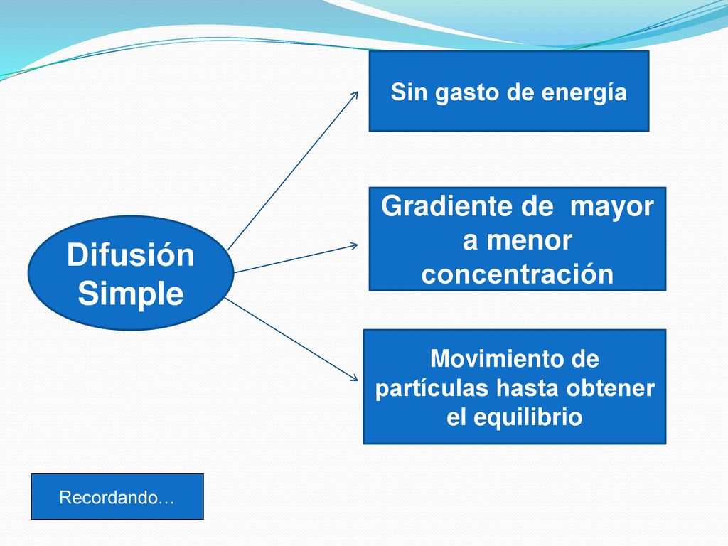 Difusión Simple Gradiente de mayor a menor concentración