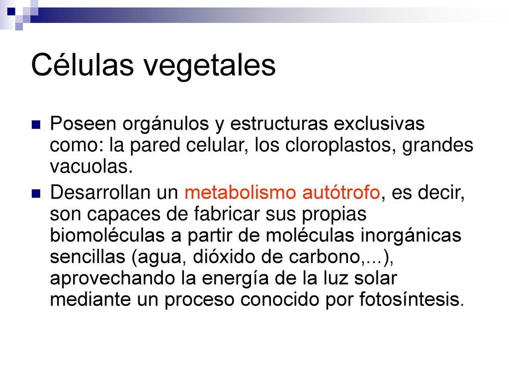 Células vegetales Poseen orgánulos y estructuras exclusivas como: la pared celular, los cloroplastos, grandes vacuolas.