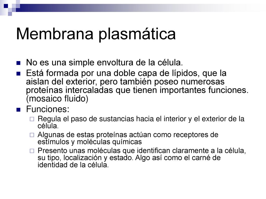 Membrana plasmática No es una simple envoltura de la célula.