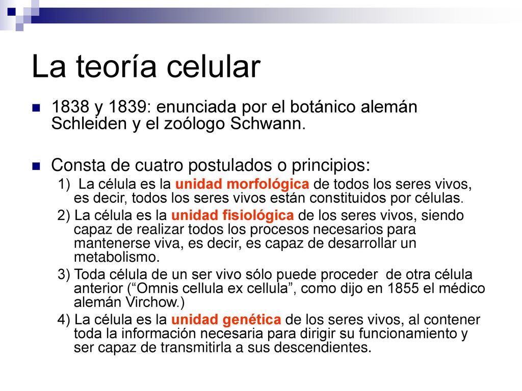 La teoría celular 1838 y 1839: enunciada por el botánico alemán Schleiden y el zoólogo Schwann. Consta de cuatro postulados o principios: