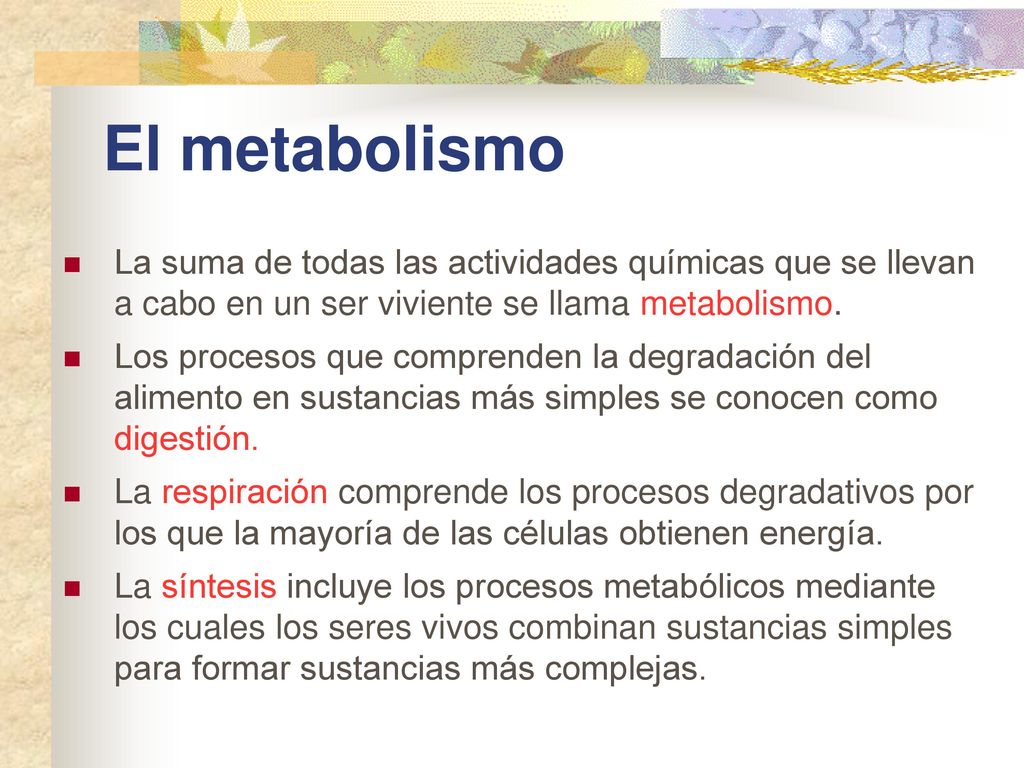 El metabolismo La suma de todas las actividades químicas que se llevan a cabo en un ser viviente se llama metabolismo.