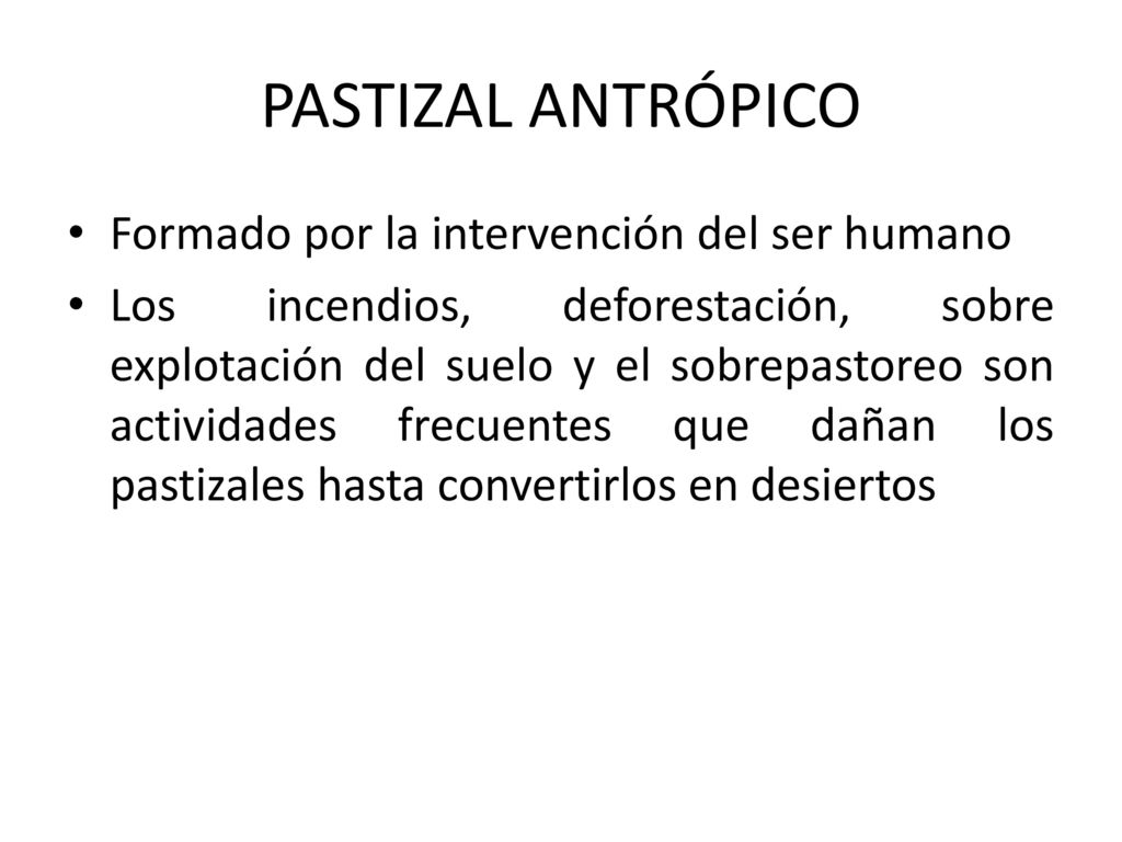PASTIZAL ANTRÓPICO Formado por la intervención del ser humano