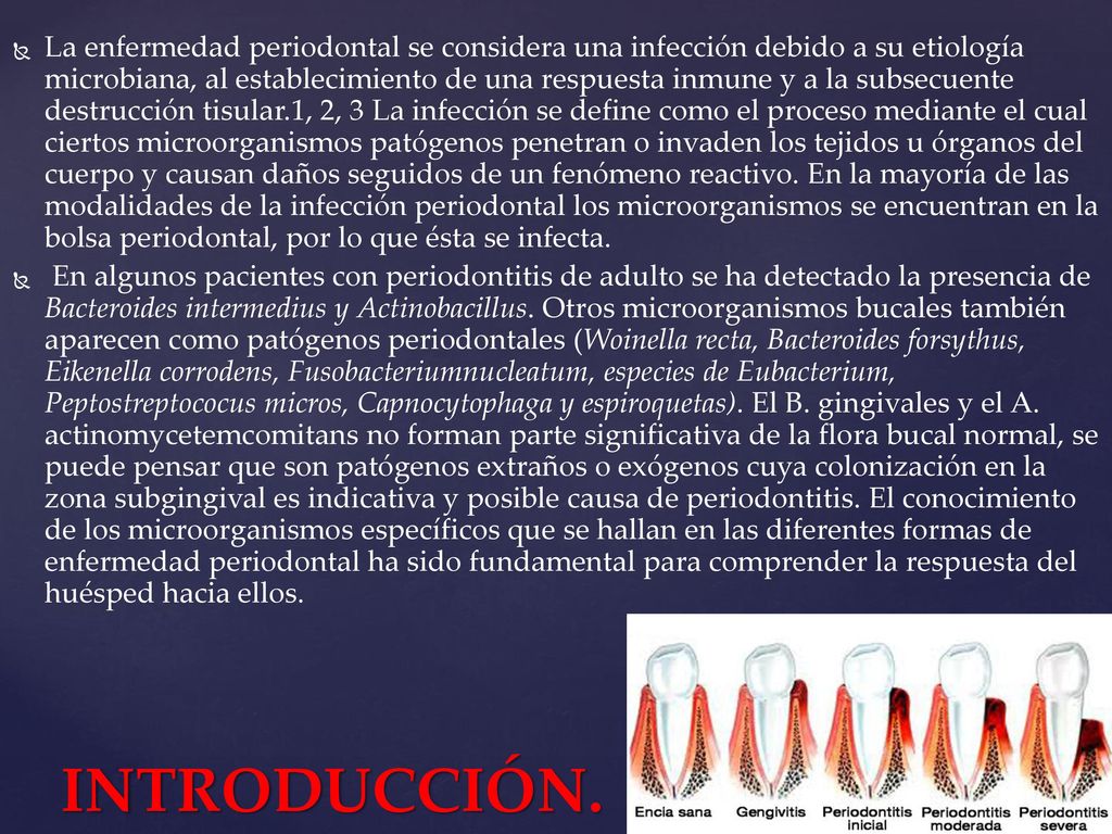 La enfermedad periodontal se considera una infección debido a su etiología microbiana, al establecimiento de una respuesta inmune y a la subsecuente destrucción tisular.1, 2, 3 La infección se define como el proceso mediante el cual ciertos microorganismos patógenos penetran o invaden los tejidos u órganos del cuerpo y causan daños seguidos de un fenómeno reactivo. En la mayoría de las modalidades de la infección periodontal los microorganismos se encuentran en la bolsa periodontal, por lo que ésta se infecta.