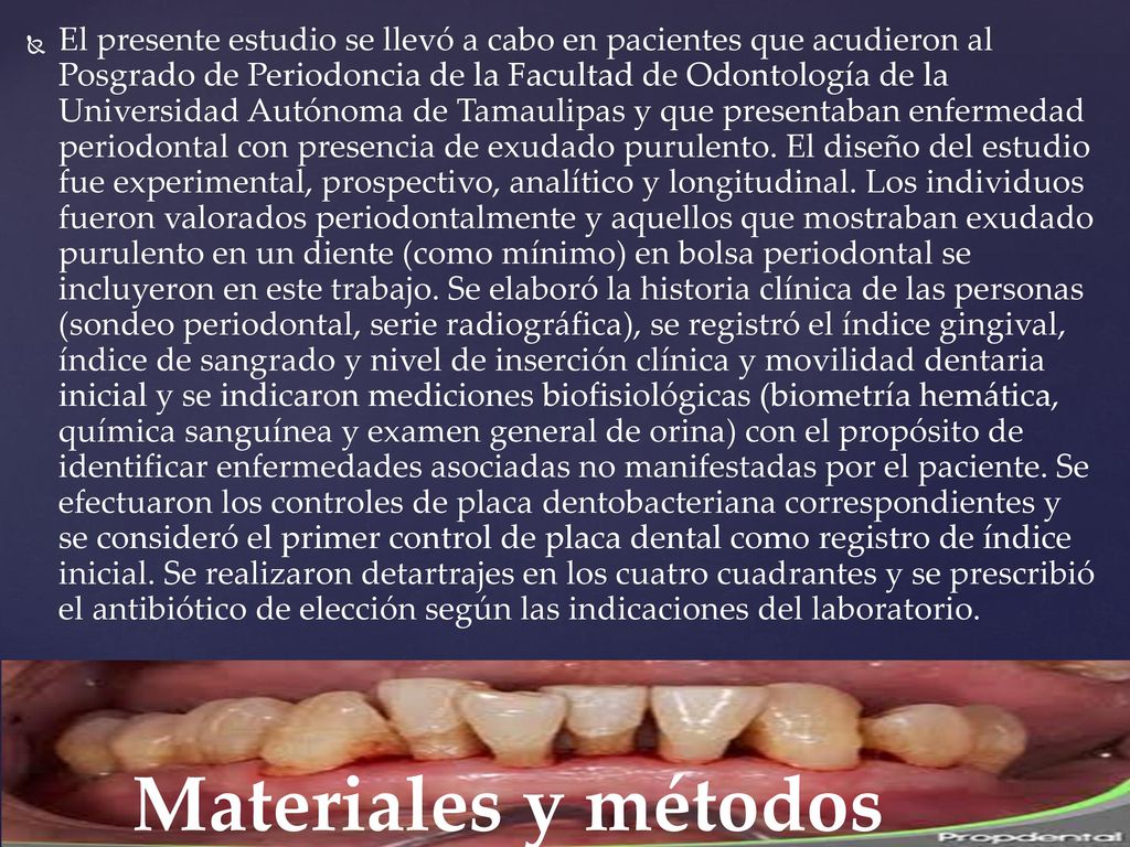 El presente estudio se llevó a cabo en pacientes que acudieron al Posgrado de Periodoncia de la Facultad de Odontología de la Universidad Autónoma de Tamaulipas y que presentaban enfermedad periodontal con presencia de exudado purulento. El diseño del estudio fue experimental, prospectivo, analítico y longitudinal. Los individuos fueron valorados periodontalmente y aquellos que mostraban exudado purulento en un diente (como mínimo) en bolsa periodontal se incluyeron en este trabajo. Se elaboró la historia clínica de las personas (sondeo periodontal, serie radiográfica), se registró el índice gingival, índice de sangrado y nivel de inserción clínica y movilidad dentaria inicial y se indicaron mediciones biofisiológicas (biometría hemática, química sanguínea y examen general de orina) con el propósito de identificar enfermedades asociadas no manifestadas por el paciente. Se efectuaron los controles de placa dentobacteriana correspondientes y se consideró el primer control de placa dental como registro de índice inicial. Se realizaron detartrajes en los cuatro cuadrantes y se prescribió el antibiótico de elección según las indicaciones del laboratorio.