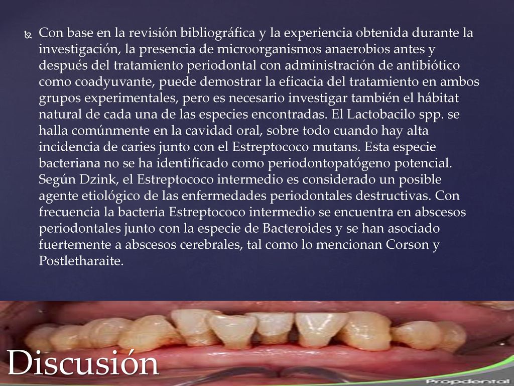 Con base en la revisión bibliográfica y la experiencia obtenida durante la investigación, la presencia de microorganismos anaerobios antes y después del tratamiento periodontal con administración de antibiótico como coadyuvante, puede demostrar la eficacia del tratamiento en ambos grupos experimentales, pero es necesario investigar también el hábitat natural de cada una de las especies encontradas. El Lactobacilo spp. se halla comúnmente en la cavidad oral, sobre todo cuando hay alta incidencia de caries junto con el Estreptococo mutans. Esta especie bacteriana no se ha identificado como periodontopatógeno potencial. Según Dzink, el Estreptococo intermedio es considerado un posible agente etiológico de las enfermedades periodontales destructivas. Con frecuencia la bacteria Estreptococo intermedio se encuentra en abscesos periodontales junto con la especie de Bacteroides y se han asociado fuertemente a abscesos cerebrales, tal como lo mencionan Corson y Postletharaite.