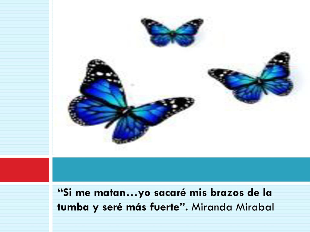 Si me matan…yo sacaré mis brazos de la tumba y seré más fuerte