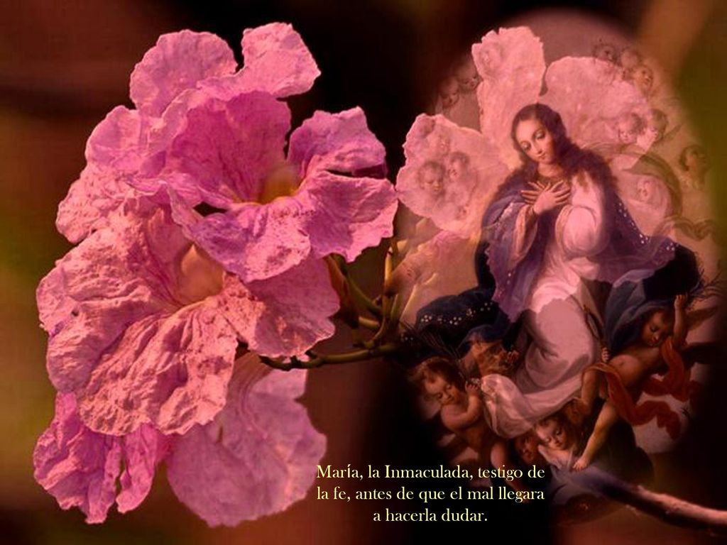 María, la Inmaculada, testigo de la fe, antes de que el mal llegara a hacerla dudar.
