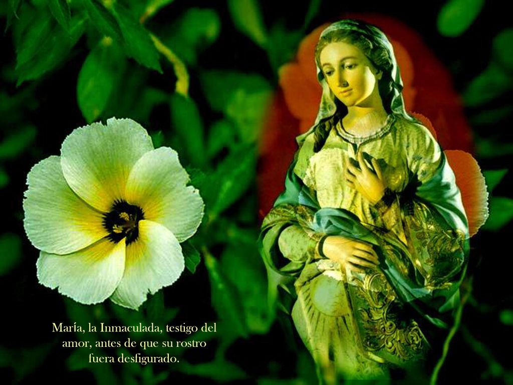 María, la Inmaculada, testigo del amor, antes de que su rostro fuera desfigurado.