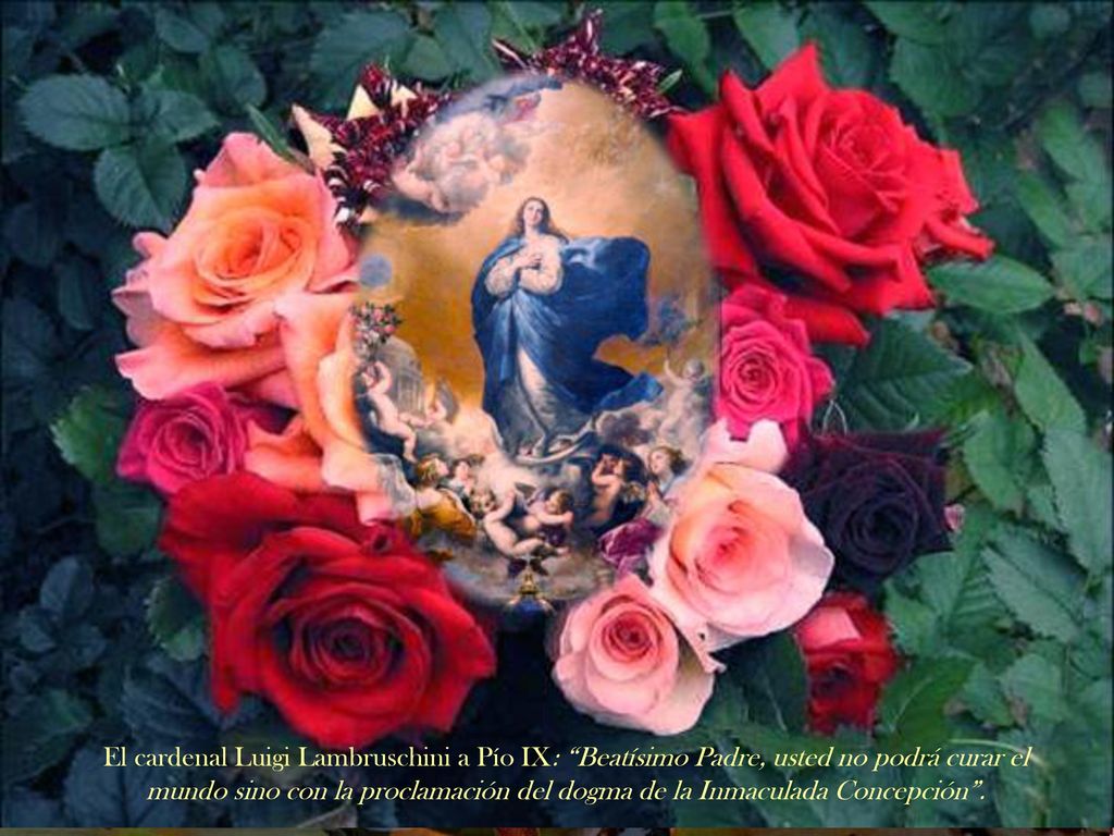 El cardenal Luigi Lambruschini a Pío IX: Beatísimo Padre, usted no podrá curar el mundo sino con la proclamación del dogma de la Inmaculada Concepción .