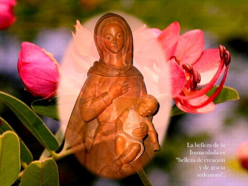 La belleza de la Inmaculada es belleza de creación y de gracia redentora .