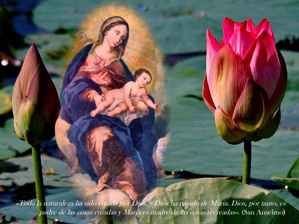 «Toda la naturaleza ha sido creada por Dios, y Dios ha nacido de María