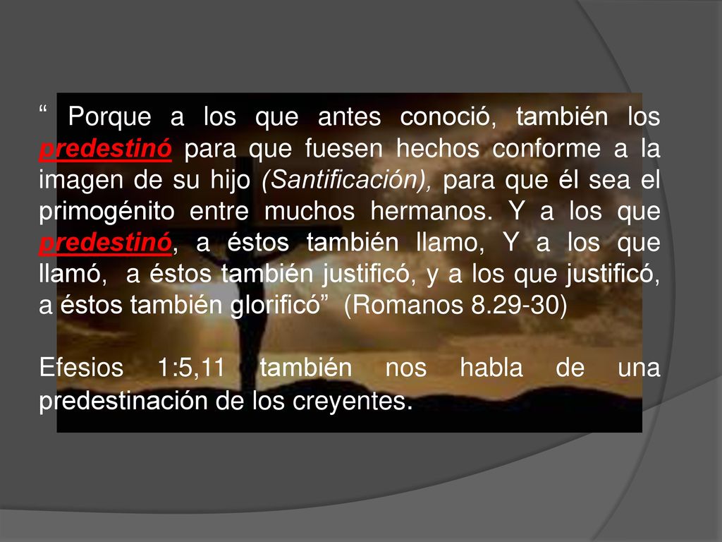 Porque a los que antes conoció, también los predestinó para que fuesen hechos conforme a la imagen de su hijo (Santificación), para que él sea el primogénito entre muchos hermanos. Y a los que predestinó, a éstos también llamo, Y a los que llamó, a éstos también justificó, y a los que justificó, a éstos también glorificó (Romanos )