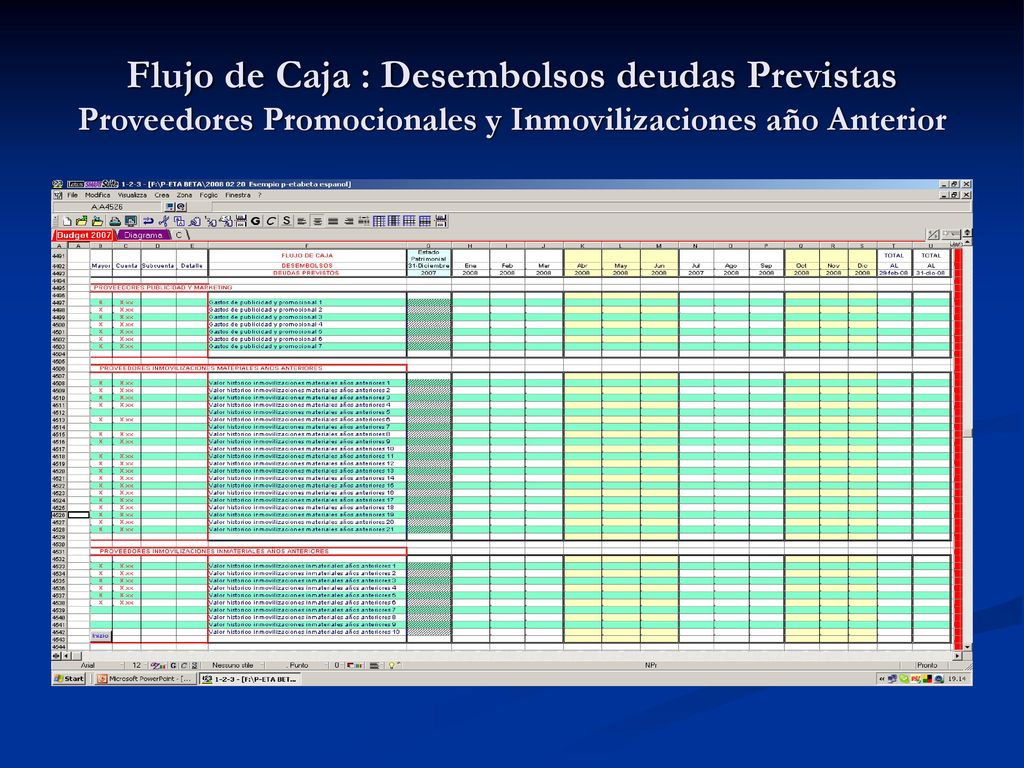 Flujo de Caja : Desembolsos deudas Previstas Proveedores Promocionales y Inmovilizaciones año Anterior